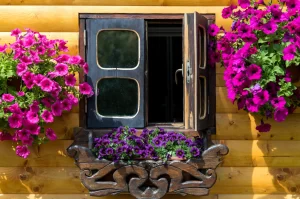 Add window boxes filled with flowers