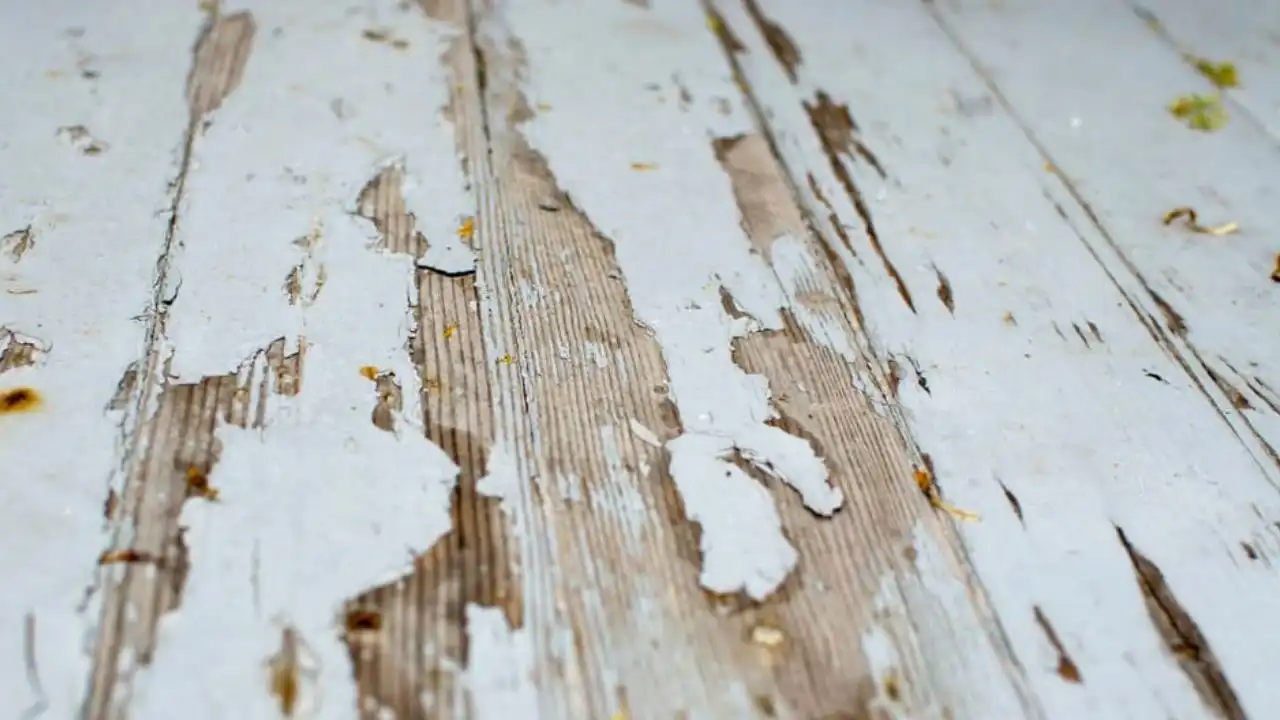 How To Remove Thick Deck Paint With out Damaging The Wood