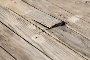 Inspect the damaged area of the deck