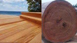 Mahogany wood deck