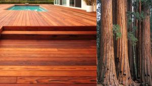 Redwood wood Deck