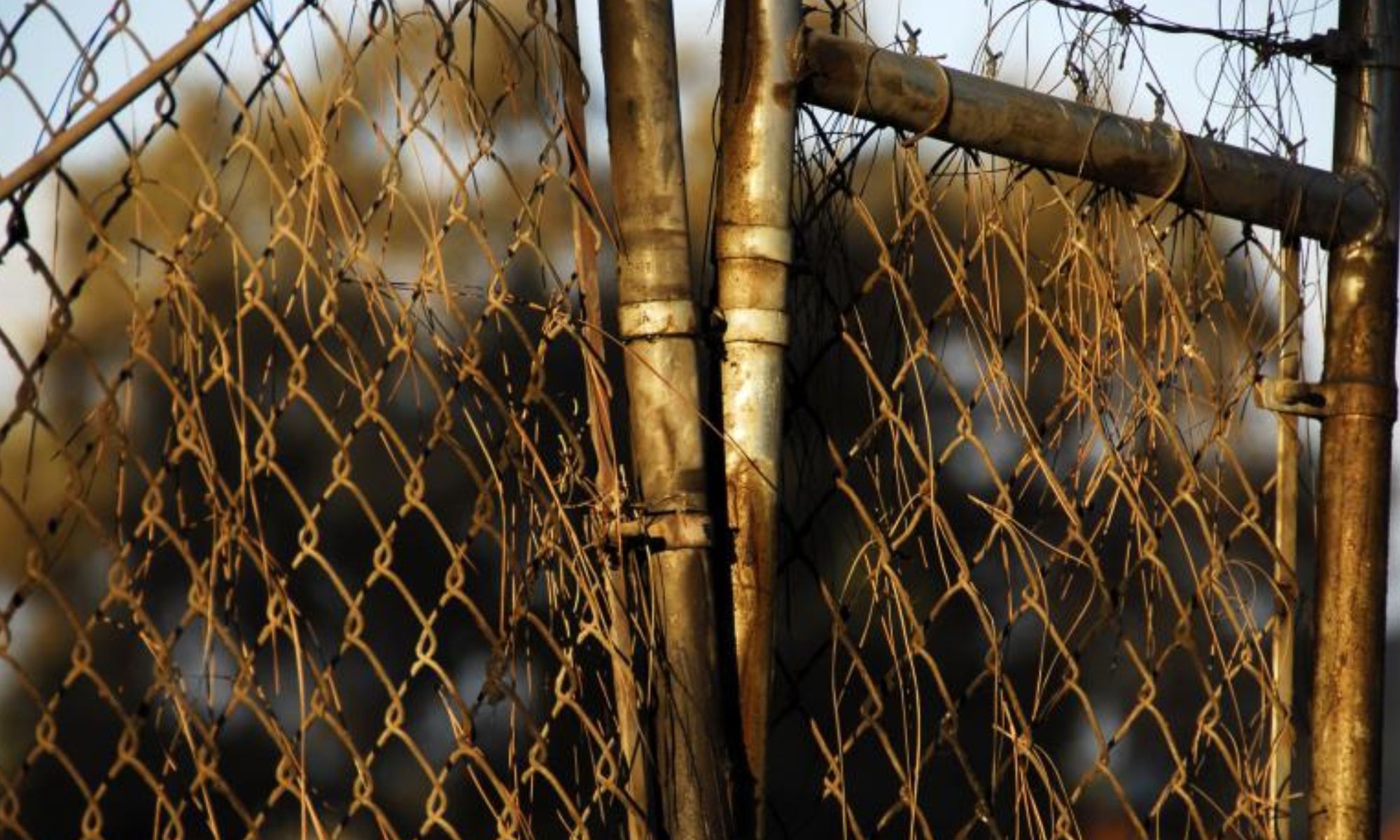 how-to-paint-wrought-iron-fences-revamp-rusted-fence