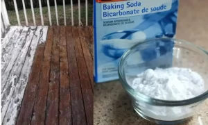 Using Baking Soda to Remove Peeling Paint from a Deck