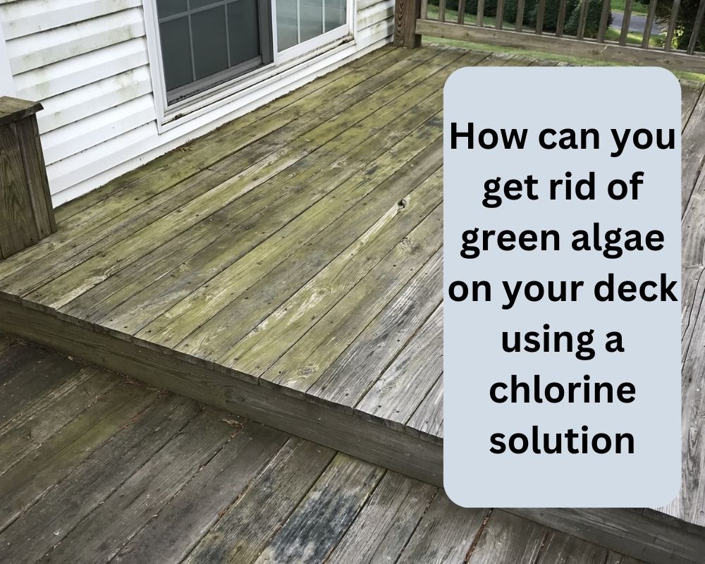 How can you get rid of green algae on your deck using a chlorine solution?