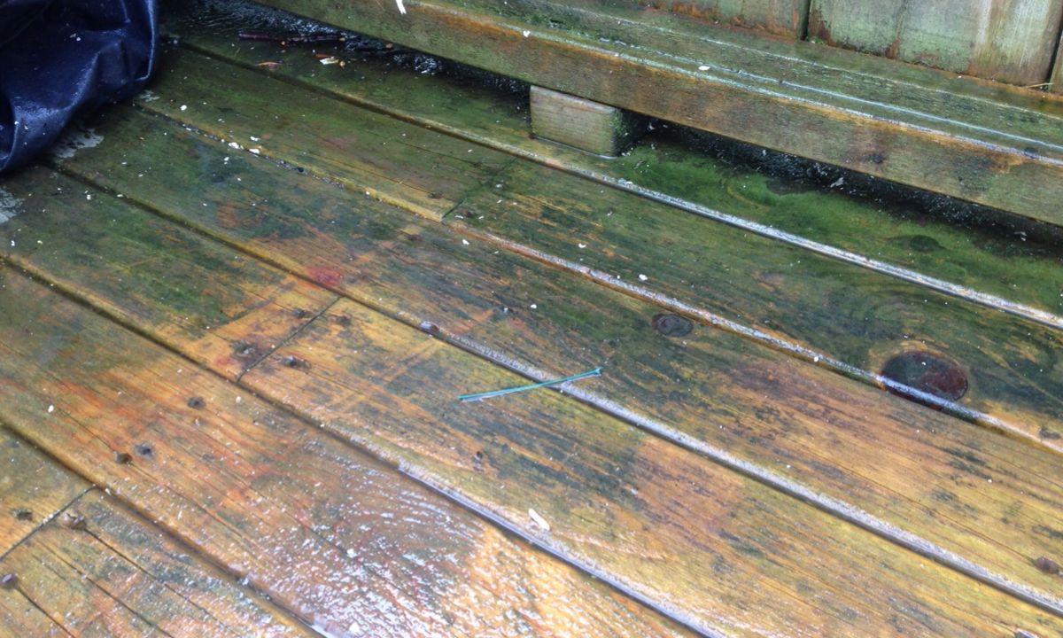 How to Stop Algae Growth on Decking Our Top Tips