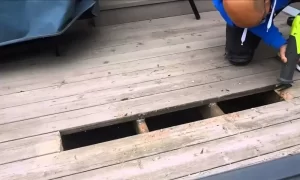 Remove the damaged decking board