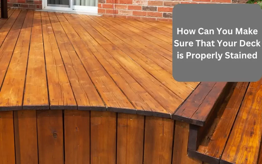 How Can You Make Sure That Your Deck is Properly Stained?