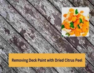 Removing Deck Paint with Dried Citrus Peel